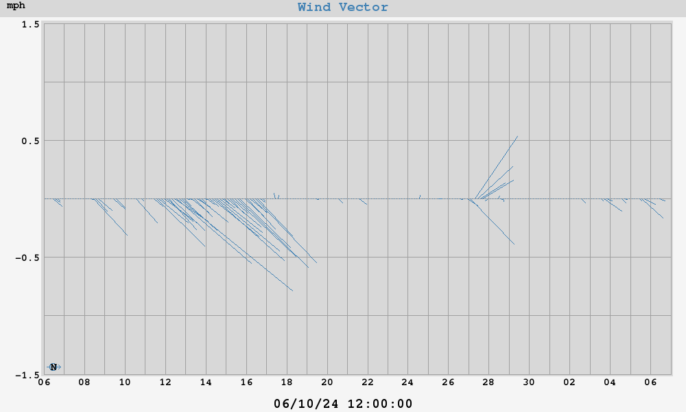 Wind Vector