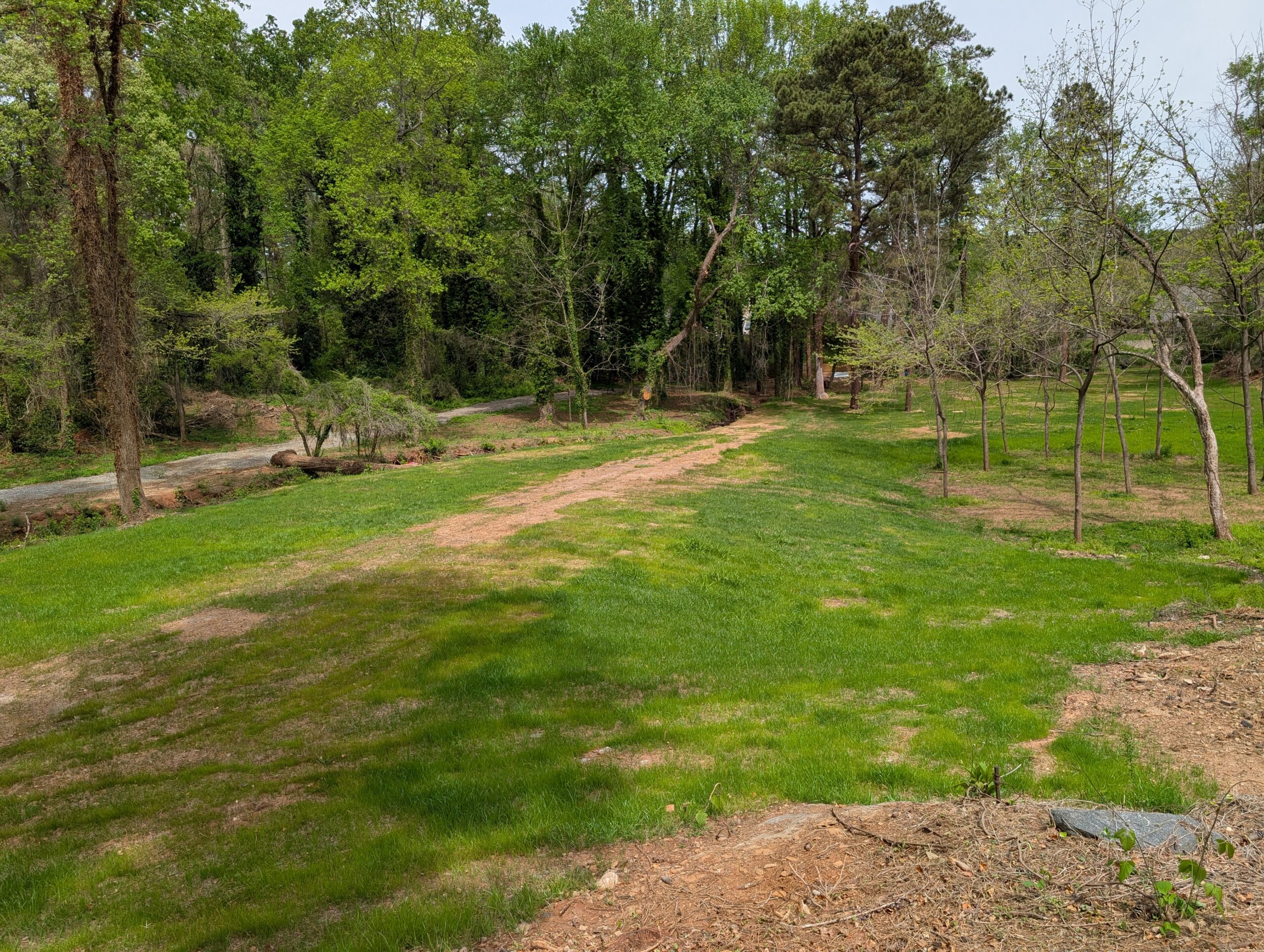 Pet friendly greenspaces & Kudzu Park.